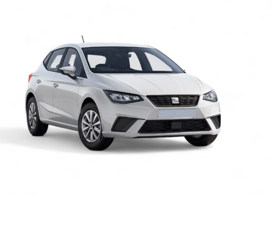 Seat Ibiza Manual